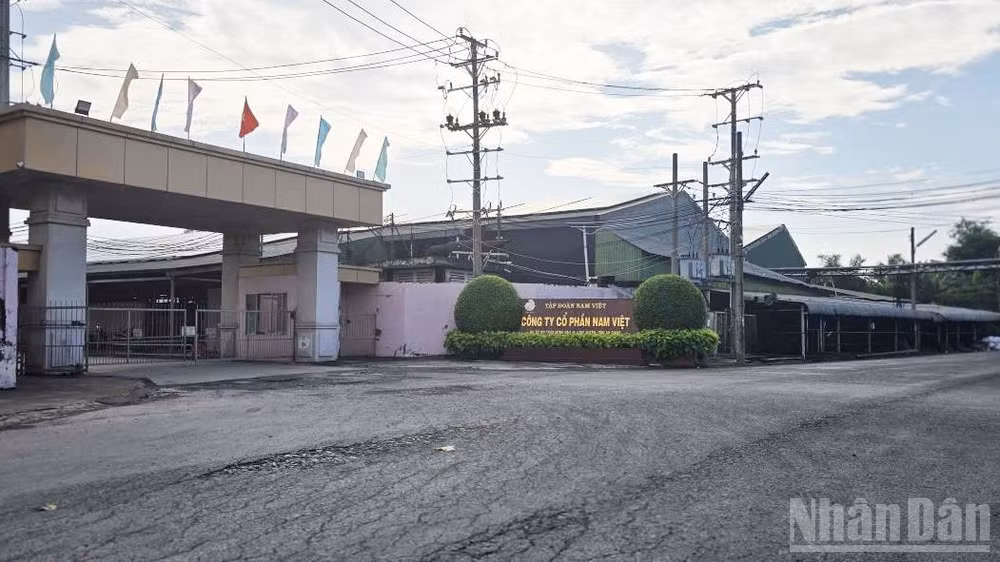 Công ty Nam Việt Bình Phú bị xử phạt hành chính 320 triệu đồng.