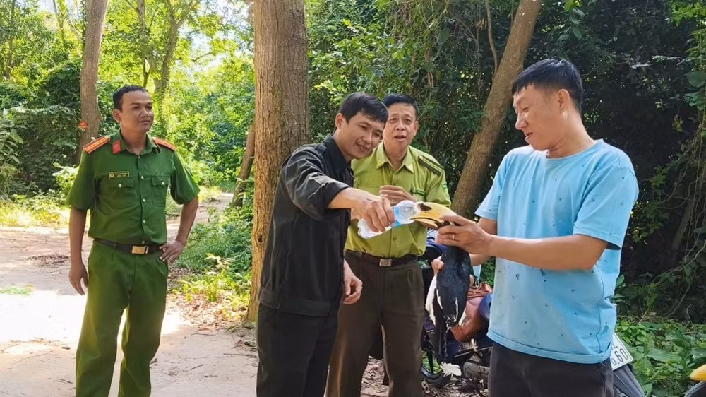 Ngành chức năng tiến hành thả chim cao cát về tự nhiên. (Ảnh: Chi cục Kiểm lâm An Giang cung cấp)