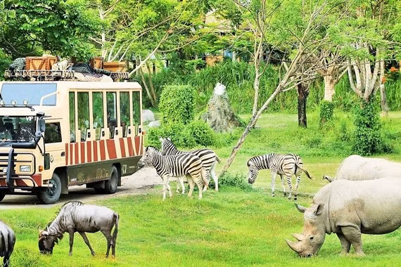 Khung cảnh trong Công viên FLC ZOO Safari. (Ảnh: Công ty Du lịch Việt)