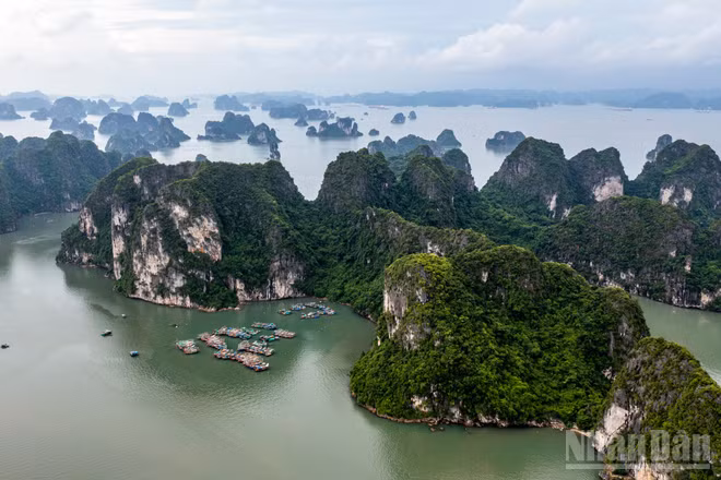 Condé Nast Traveler đánh giá, vịnh Hạ Long được du khách yêu thích bởi làn nước xanh biếc và những hòn đảo đá vôi trải dài. (Ảnh: THÀNH ĐẠT)