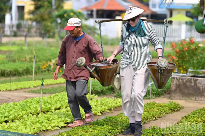 Đến Việt Nam, khách quốc tế thích thú khi được trải nghiệm các hoạt động trồng rau, tưới cây và tận hưởng không gian trong lành của làng quê ở Hội An. (Ảnh: THẾ ĐẠI)