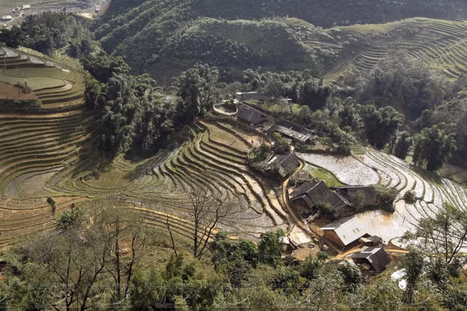 Từ đỉnh Hầu Thào, khách du lịch có thể nhìn thấy thấp thoáng nhà của bà con người Mường giữa những thửa ruộng bậc thang. (Ảnh: TTXVN)