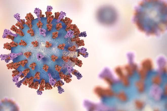 Đức lần đầu phát hiện virus bại liệt hoang dã sau hơn 30 năm