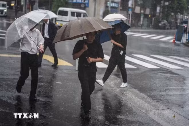 Một cơn bão gây mưa lớn tại Nhật Bản. (Ảnh: THX/TTXVN)
