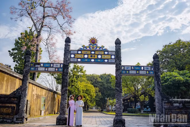 Du khách ghé Huế trong mùa ngô đồng đơm hoa. (Ảnh: LÊ ĐÌNH HOÀNG)