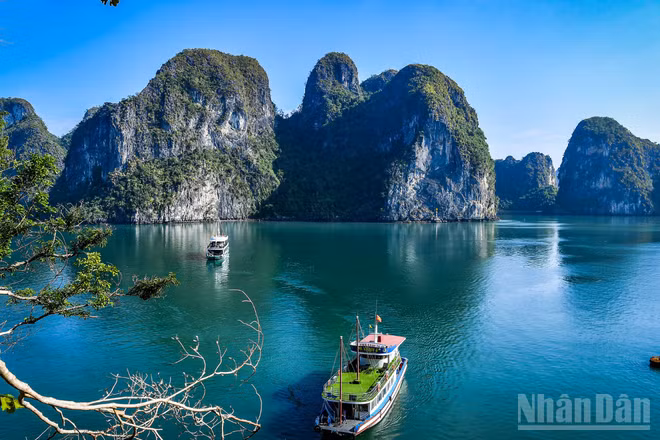 Vịnh Hạ Long - một trong những điểm đến thu hút khách du lịch hàng đầu Việt Nam. (Ảnh: THÀNH ĐẠT)
