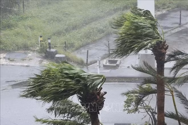 Gió mạnh kèm theo mưa do ảnh hưởng của bão Khanun tại Okinawa, Nhật Bản. (Ảnh tư liệu - minh họa: TTXVN)