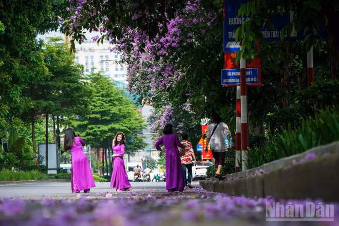 Một góc nhỏ ở Thủ đô Hà Nội. (Ảnh: THÀNH ĐẠT)