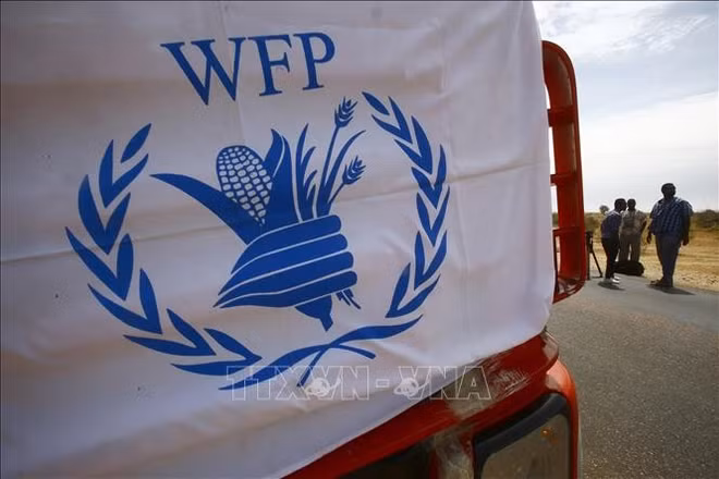 Xe tải chở hàng viện trợ nhân đạo của Chương trình Lương thực thế giới (WFP). (Ảnh tư liệu: TTXVN)