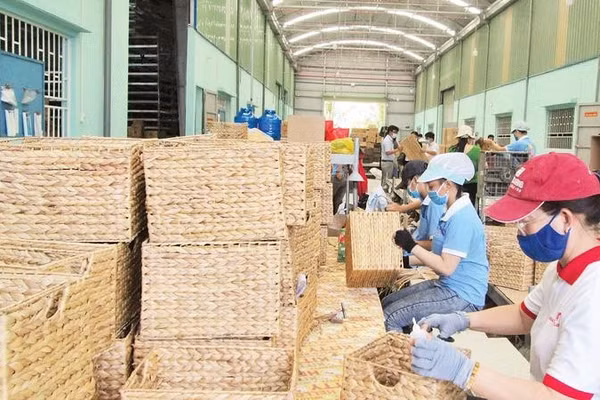 Sản phẩm thủ công mỹ nghệ làm từ lục bình của Tây Ninh đã bước ra thị trường thế giới.