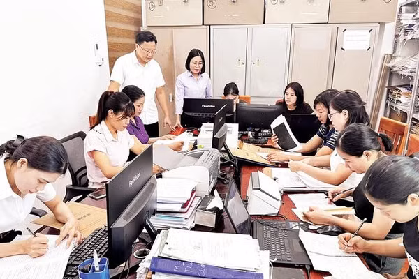 Cán bộ Ban Xây dựng Đảng xã Hùng Việt tập trung nguồn lực triển khai số hóa hồ sơ đảng viên bảo đảm tiến độ.