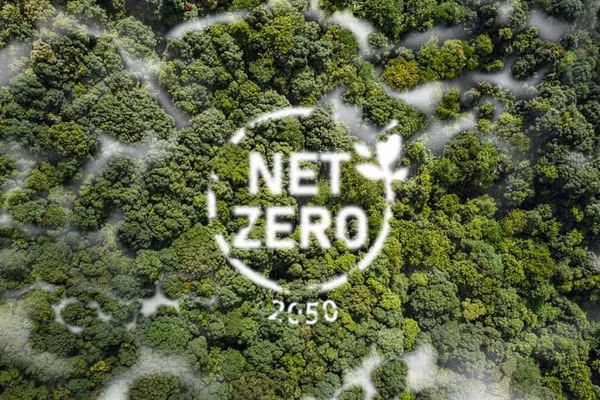 Chuyển dịch năng lượng: Khi công nghệ trở thành chìa khóa của Net Zero. Ảnh minh họa.