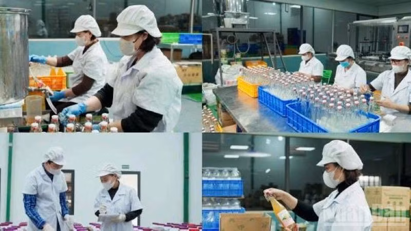 Các doanh nghiệp khoa học-công nghệ gia tăng mạnh trong bối cảnh hiện nay. (Ảnh: CTV)