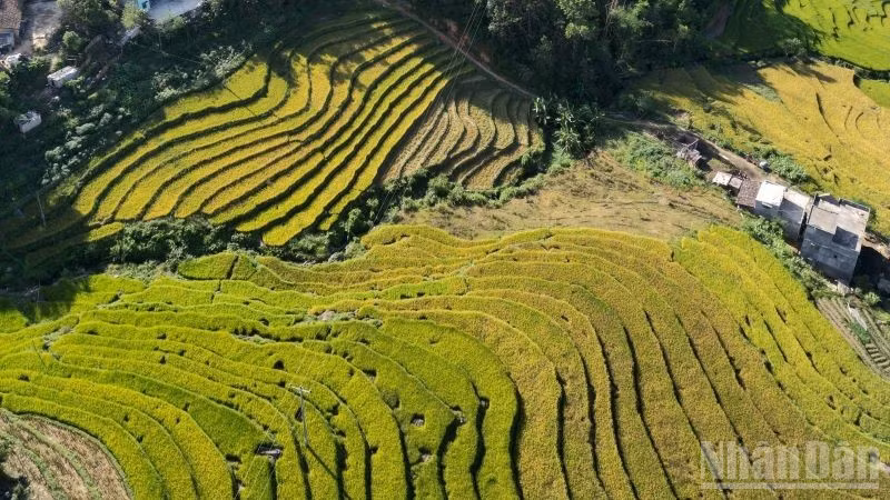Ruộng bậc thang Bình Liêu, Quảng Ninh nhìn từ trên cao. (Ảnh: QUỐC TOẢN)