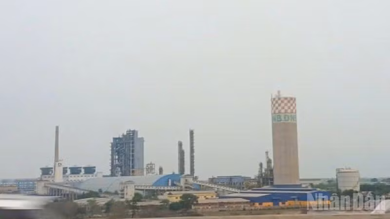 ndo_br_nha-maydam.jpg