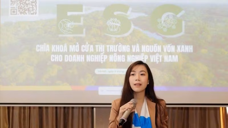 taphuan3.jpg