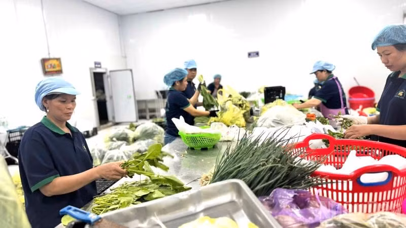 Quy định mới cho phù hợp tình hình thực tế và góp phần nâng cao thu nhập cho người dân trong lĩnh vực nông, lâm nghiệp. (Ảnh: HNV)