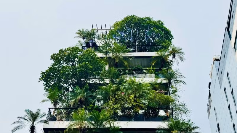 "Xanh hóa" công trình là xu hướng chủ đạo hiện nay. (Ảnh: HNV)