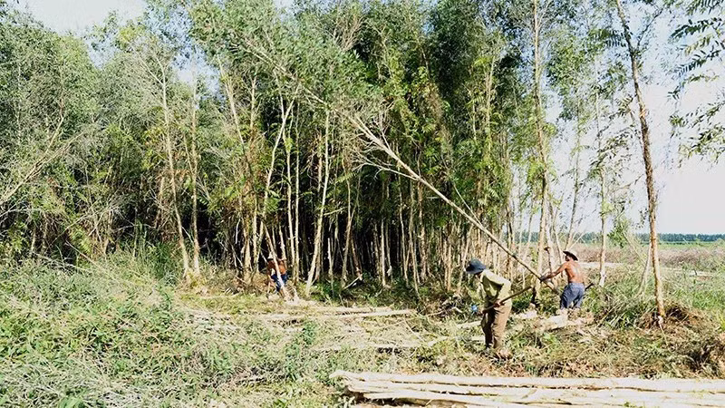 nguyenlieurung.jpg