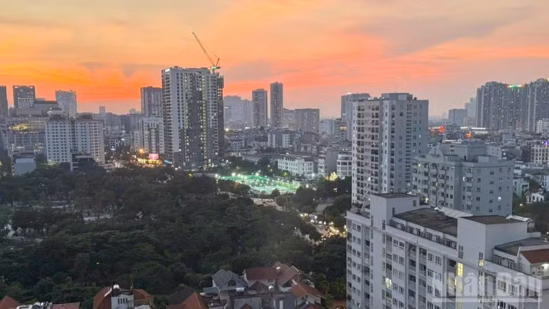 ndo_br_nha-o-tysuatsinh2.jpg