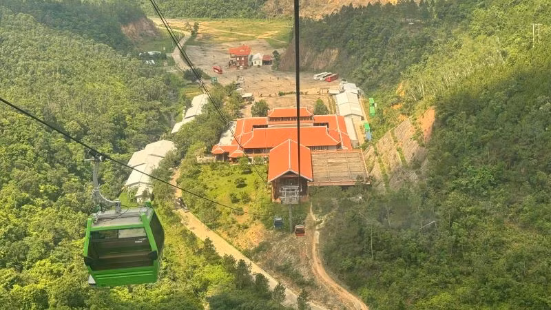 captreo.jpg