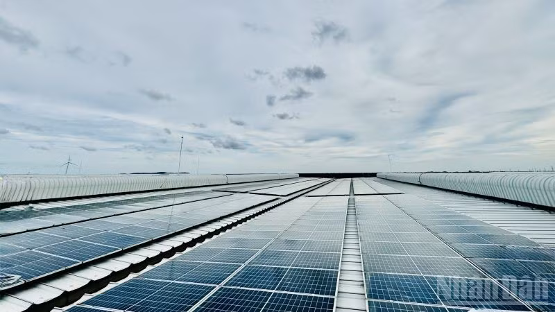 Điện mặt trời áp mái trong khu công nghiệp DEEP C, Hải Phòng. (Ảnh: HNV)