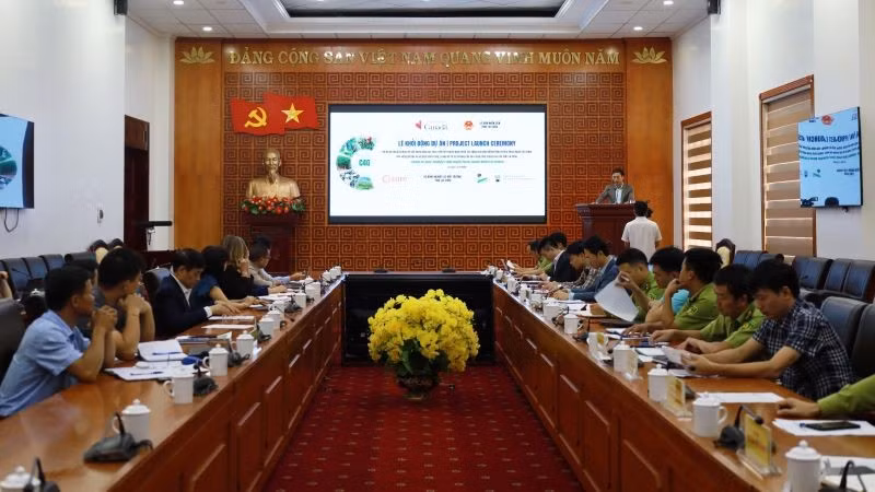 duanlc2.jpg
