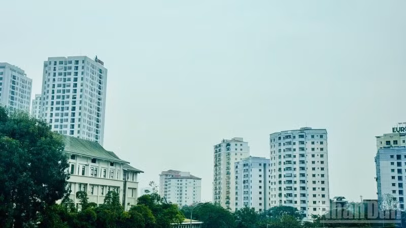 ndo_br_chungcupd1.jpg