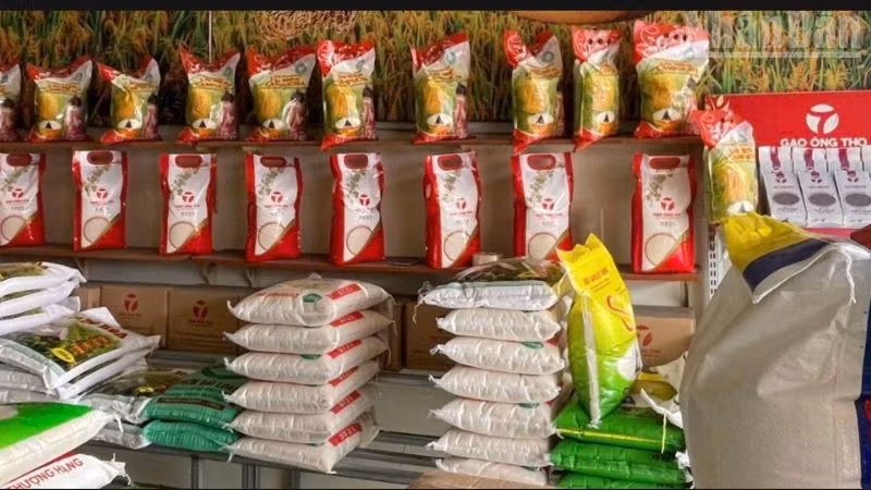Tính đến hết ngày 28/5/2025, Chính phủ đã hỗ trợ gần 2 nghìn tấn gạo cho người dân dịp giáp hạt đầu năm 2025. (Ảnh: T.T)