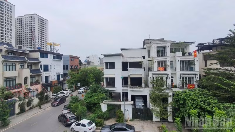 ndo_br_nhucaunha3.jpg