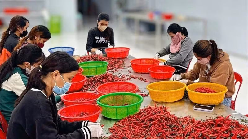 Lao động có thu nhập gia tăng đáng kể trong thời gian qua. (Ảnh: HNV)