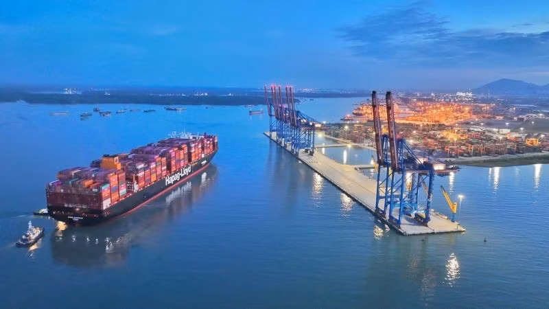 cangcaimep.jpg