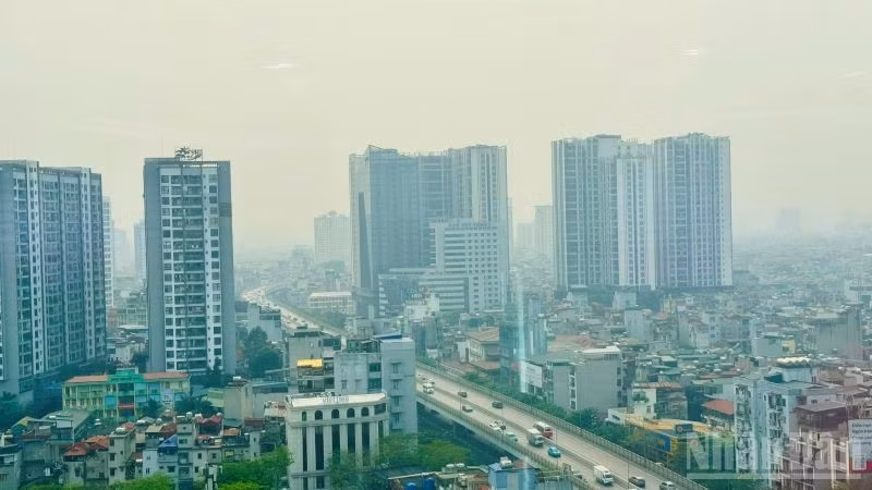 ndo_br_bdsq1-2.jpg