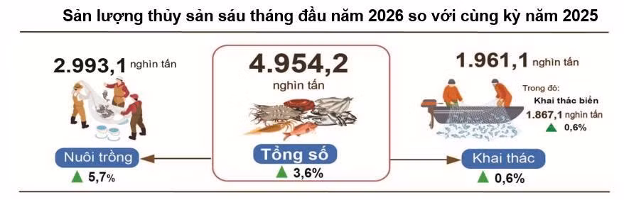 slts626.jpg