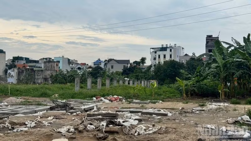 ndo_br_dinhgiadat3.jpg