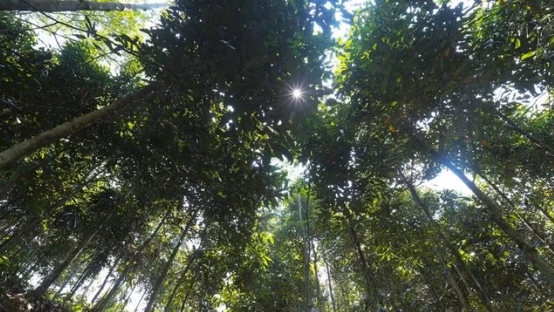 vinasamex6.jpg
