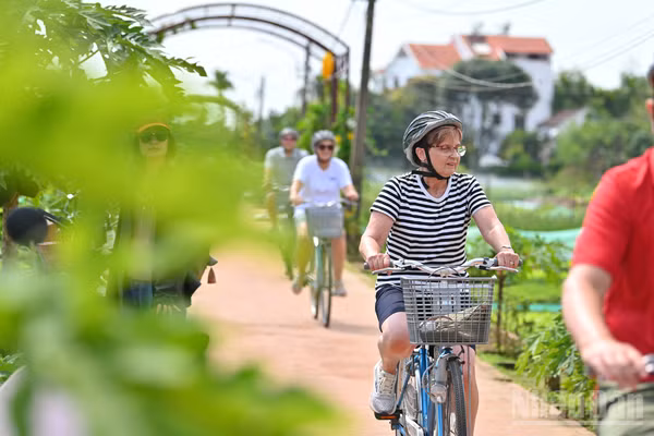 Du khách khám phá Hội An bằng xe đạp. (Ảnh: THẾ ĐẠI)