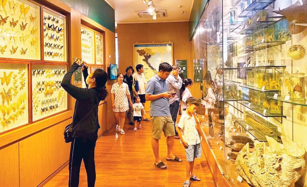 Khách tham quan Bảo tàng Thiên nhiên Việt Nam (Hà Nội).