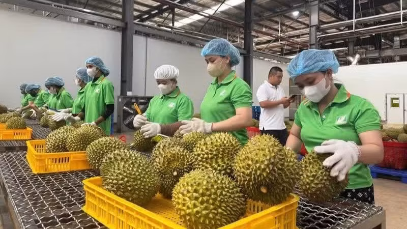 Hiện hệ thống truy xuất nguồn gốc của Việt Nam đã cập nhật khoảng 18.000 sản phẩm của 26/34 tỉnh, thành phố, với 255 vùng trồng và 149 doanh nghiệp tham gia.