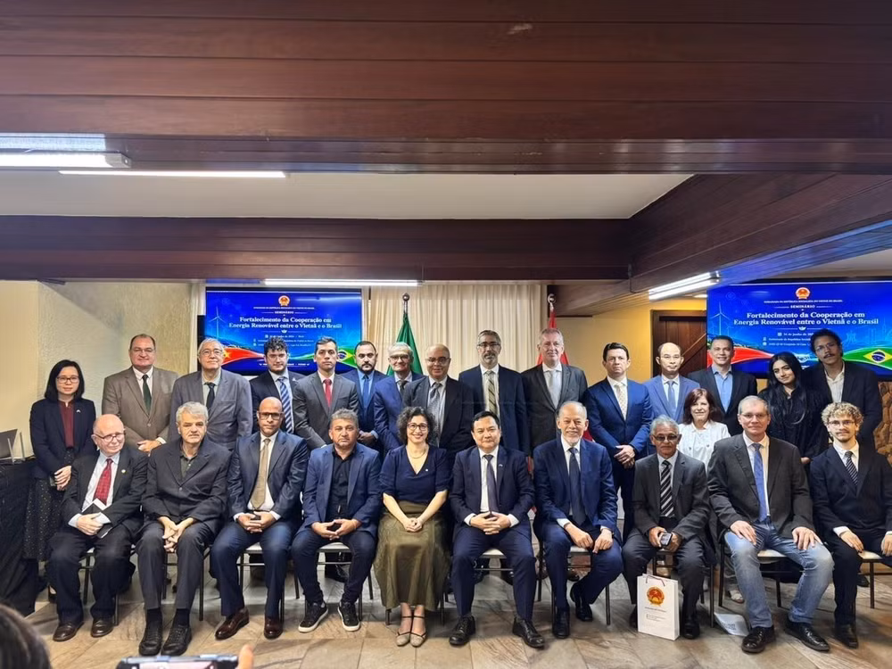 vna-potal-viet-nam-va-brazil-tang-cuong-hop-tac-trong-linh-vuc-nang-luong-tai-tao-8833404.jpg