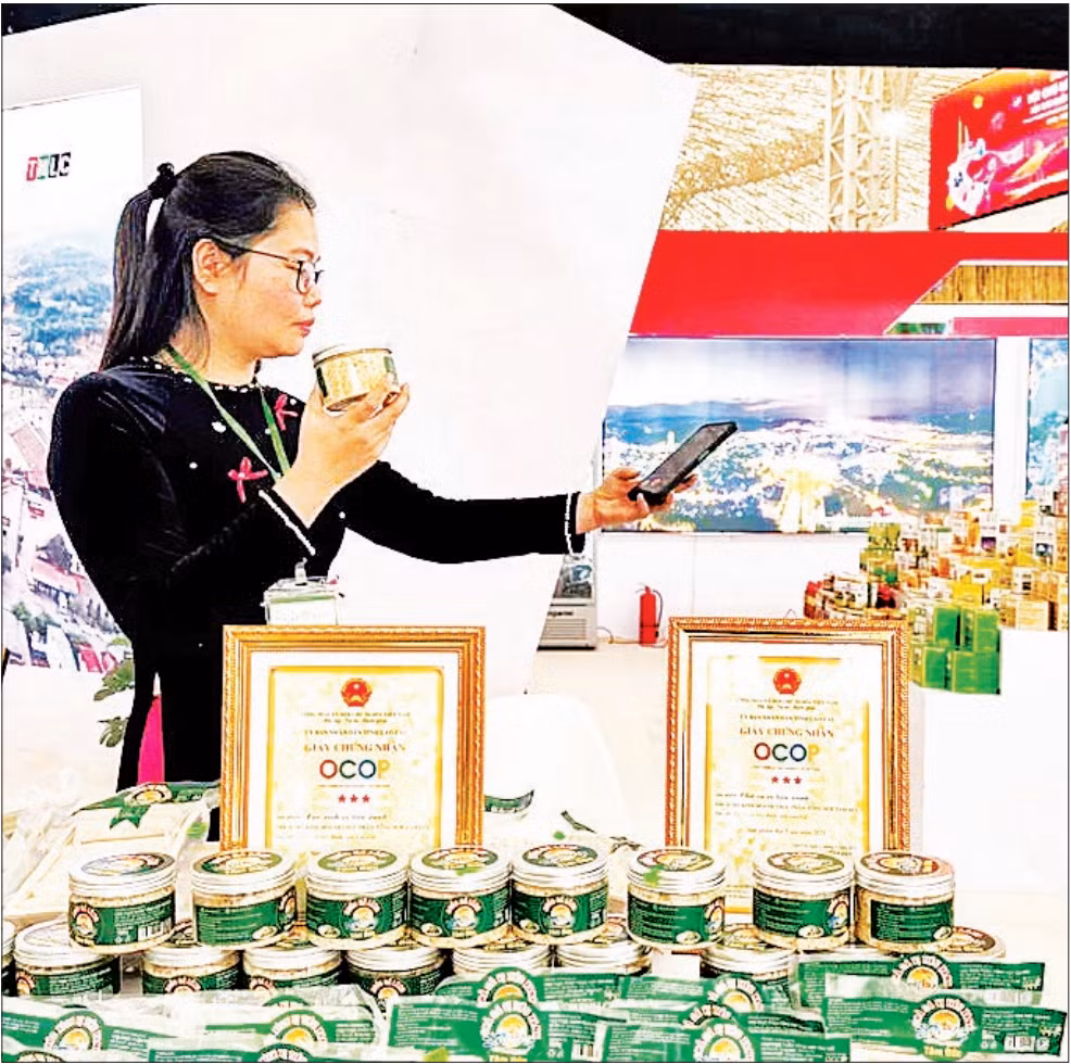 Sản phẩm OCOP chế biến từ cá hồ Thác Bà được giới thiệu tại hội chợ thương mại. (Ảnh MINH SƠN)