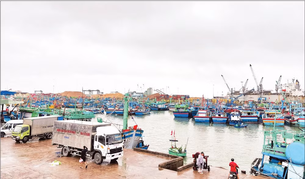 Cảng cá Quy Nhơn nhìn từ trên cao. (Ảnh HOÀNG QUÂN)
