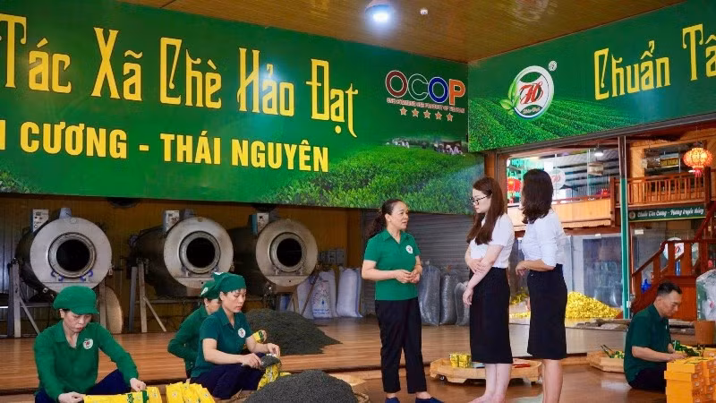 Người lao động Hợp tác xã chè Hảo Đạt (xã Tân Cương, tỉnh Thái Nguyên) đóng gói sản phẩm chè.
