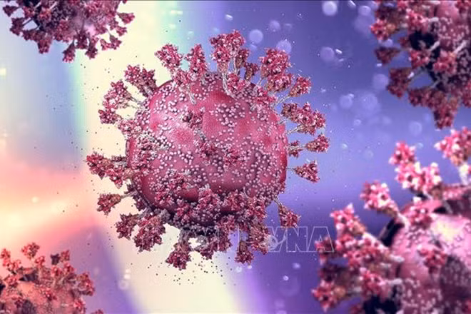 Hình ảnh mô phỏng virus SARS-CoV-2 gây bệnh Covid-19. (Ảnh: MedPage Today/TTXVN)