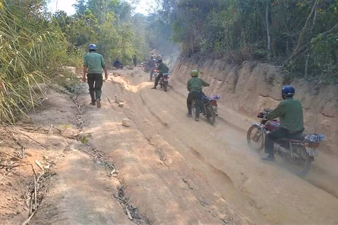 Lực lượng quản lý, bảo vệ rừng của một Công ty lâm nghiệp ở huyện Ea H’leo trên đường tuần tra bảo vệ rừng. (Ảnh minh họa)
