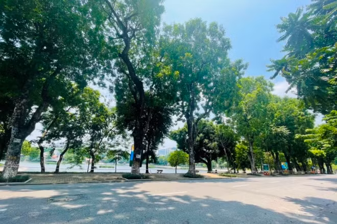 Không gian xanh mát của hồ Thiền Quang sẽ được khai thác làm phố đi bộ.