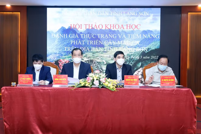 Đại diện lãnh đạo UBND tỉnh Lạng Sơn, Tổng cục lâm nghiệp và Hiệp hội mắc ca Việt Nam tham gia chủ trì hội thảo. 
