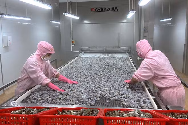 Việc F0, F1 cách ly tại nhà trong thời gian dài gây thiếu hụt lao động tại nhiều doanh nghiệp chế biến thủy sản.