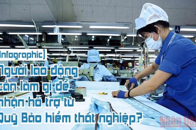[Infographic] Người lao động cần làm gì để nhận hỗ trợ từ Quỹ Bảo hiểm thất nghiệp?
