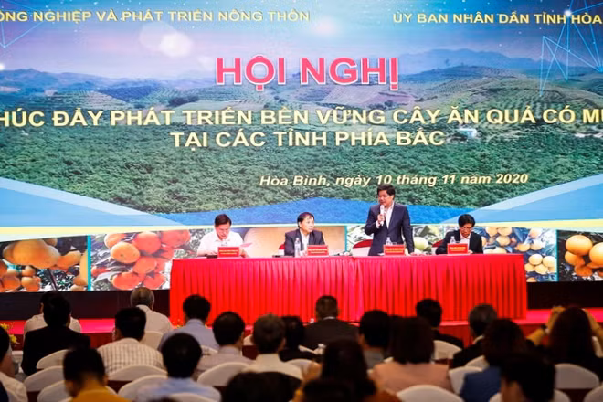 Hội nghị thu hút đông đảo các doanh nghiệp trong ngành nông nghiệp các tỉnh phía bắc tham gia.